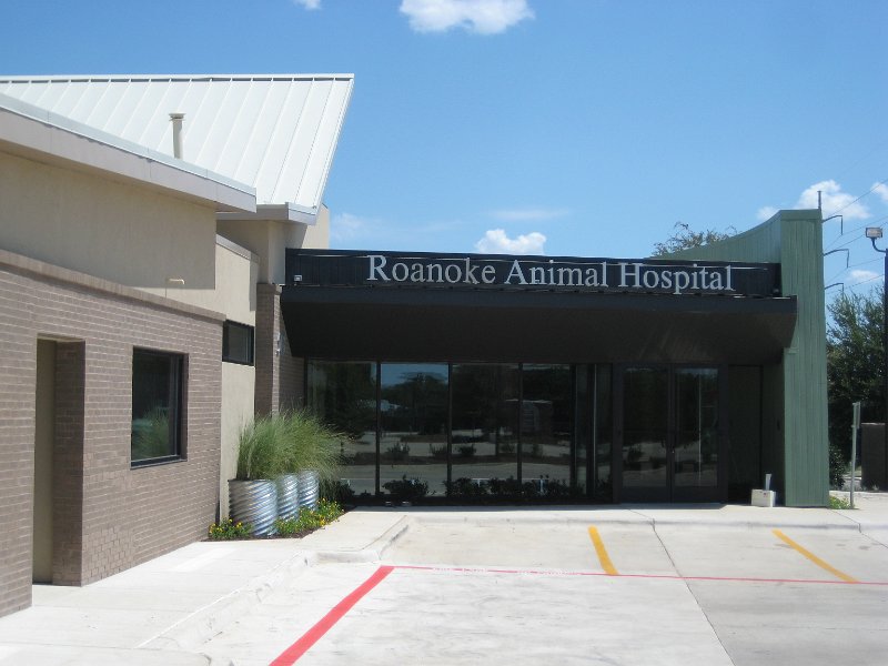 Roanoke Animal Hospital by Davis-Latham